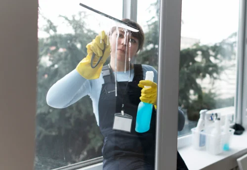 Nettoyage de vitres intérieures et extérieures à Chanonat